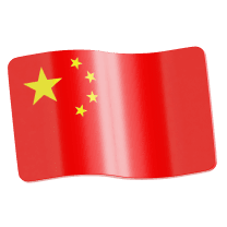 Wholly Owned Foreign Enterprise in China (WFOE China)